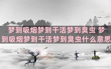 梦到吸烟梦到干活梦到臭虫 梦到吸烟梦到干活梦到臭虫什么意思